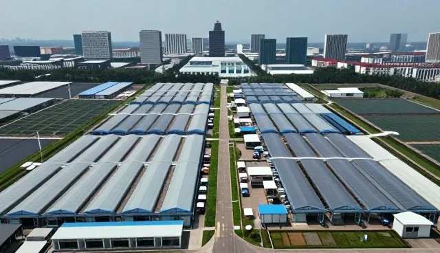 定制旅游后续维护中的市场趋势与应对策略