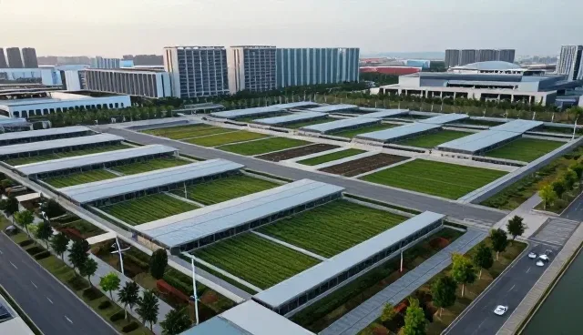 研学旅行市场升级：从课程设计到用户体验的全面革新